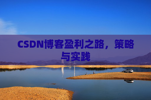 CSDN博客盈利之路,策略与实践